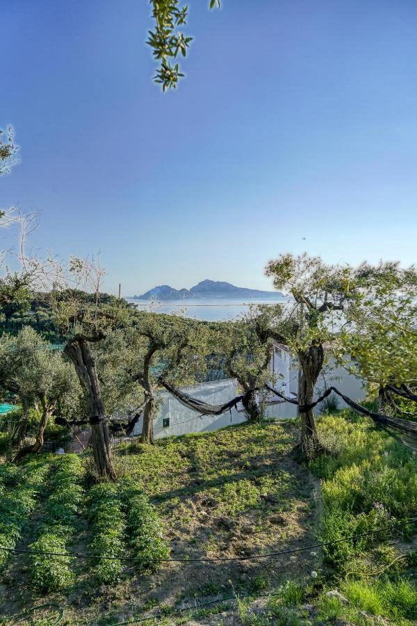 Villa Lorelei Маса Лубрензе Екстериор снимка